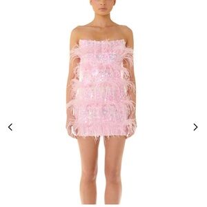 Eliya the label Tiffany mini dress Barbie pink feather sequin size small